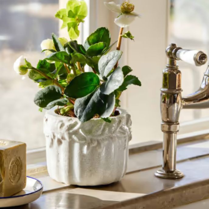 Garden Trading Small Cetara Pot