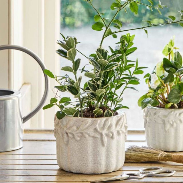 Garden Trading Large Cetara Pot