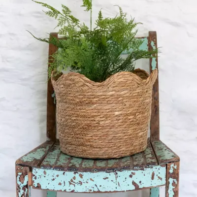 Grand Illusions Frill Edged Seagrass Planter