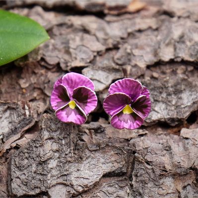 Alexander Thurlow Pink Pansy Stud Earrings