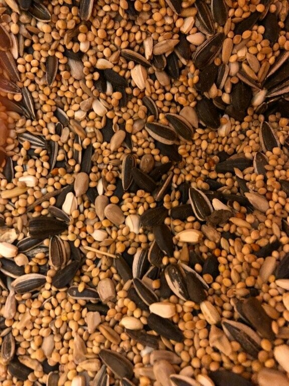 Bird Plus Parakeet Seed