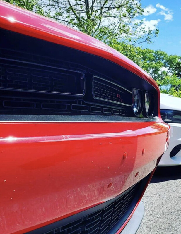 Bumper Plugs - Painted OEM Colors 