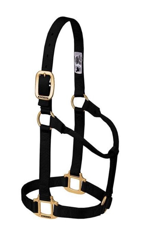 Weaver Original Non-Adjustable 1" Halter