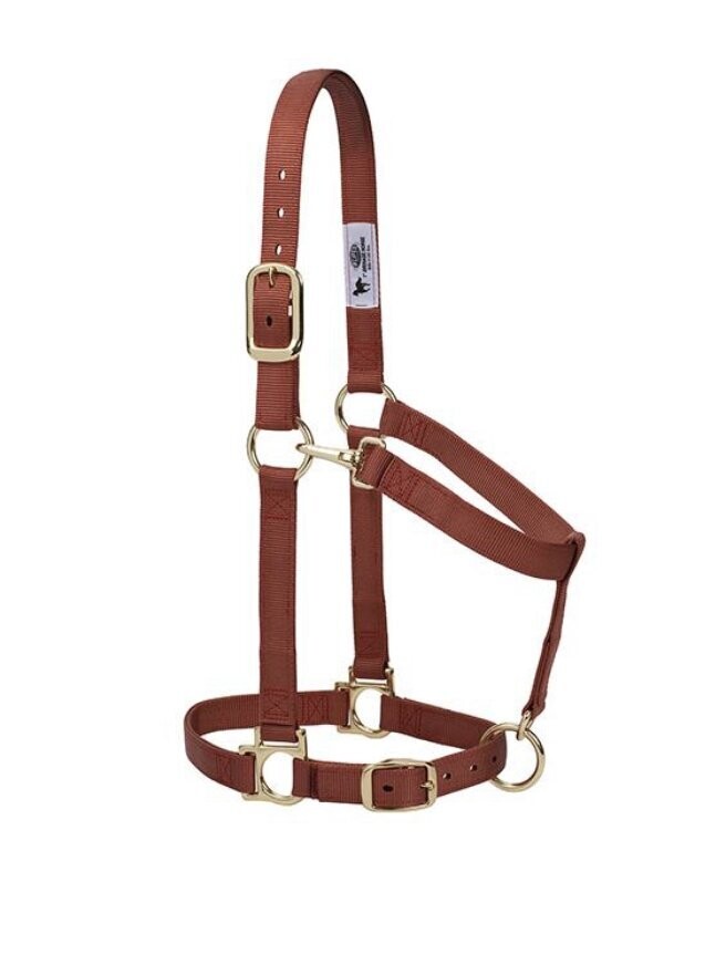 Weaver Basic Adjustable Chin and Throat Snap Halter