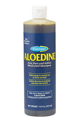 Aloedine Medicated Shampoo - 16 oz. Aloedine Medicated Shampoo - 16 oz.