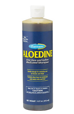 Aloedine Medicated Shampoo - 16 oz.