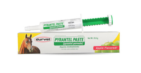 Durvet Pyrantel Paste Horse Wormer