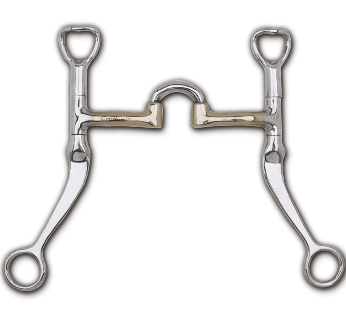 Toklat Flat Shank Bit