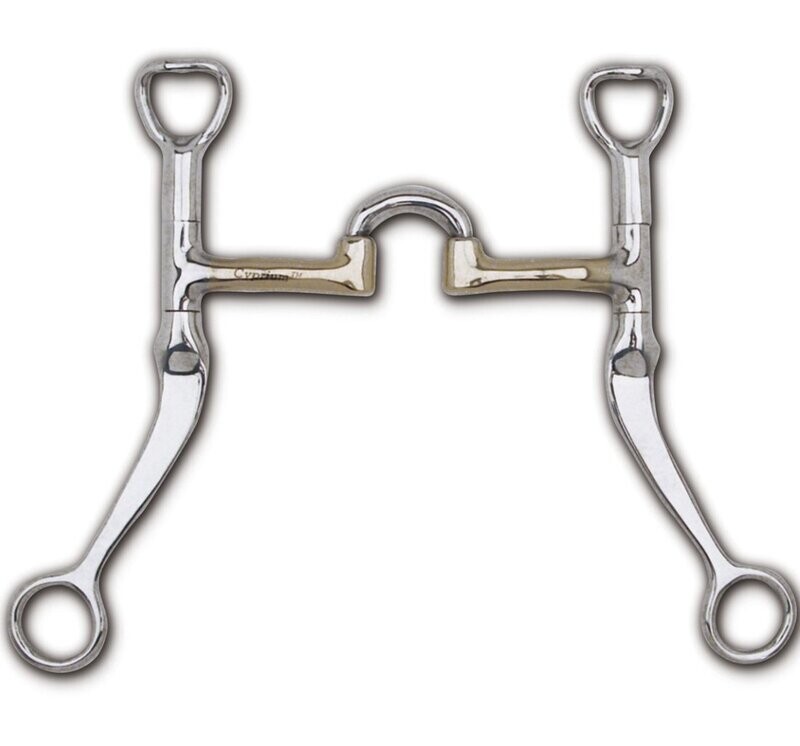 Toklat Flat Shank Bit