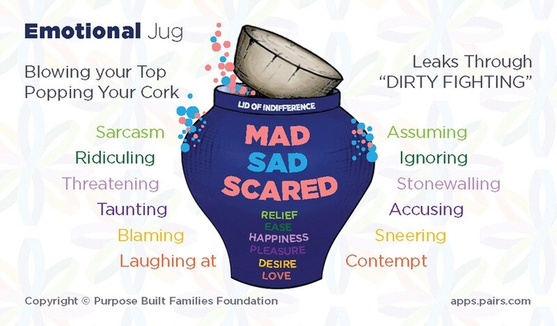PAIRS Emotional Jug Wallet Cards