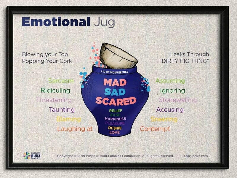 PAIRS Emotional Jug Poster