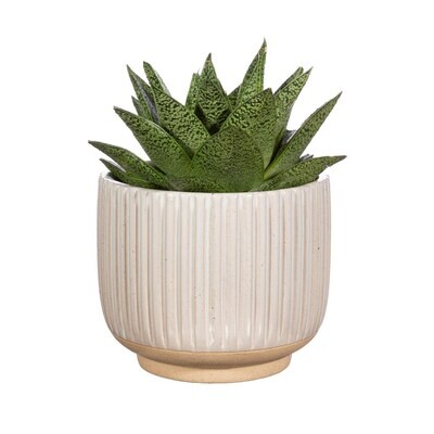 Grooved Natural Planter Grooved Natural Planter