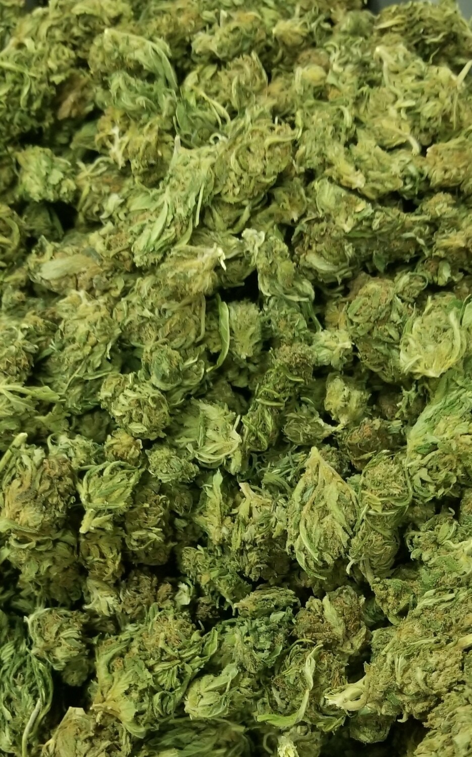 1/8 oz  3.5g CBD Flower Specials! 3.5g