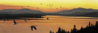Sounds of Sunset - Canada Geese