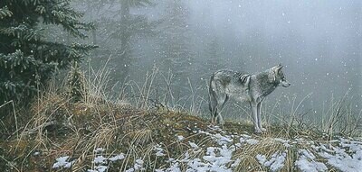 Silent Snows - Wolf