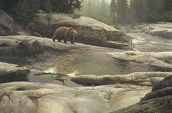 Uzumati - Grizzly Bear