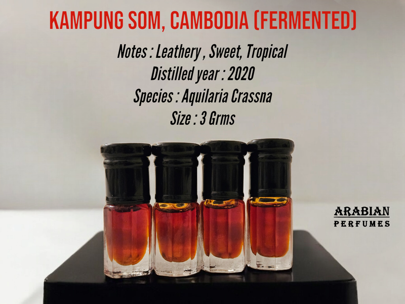 Kampung Som, Cambodia (Fermented) 3 Grms