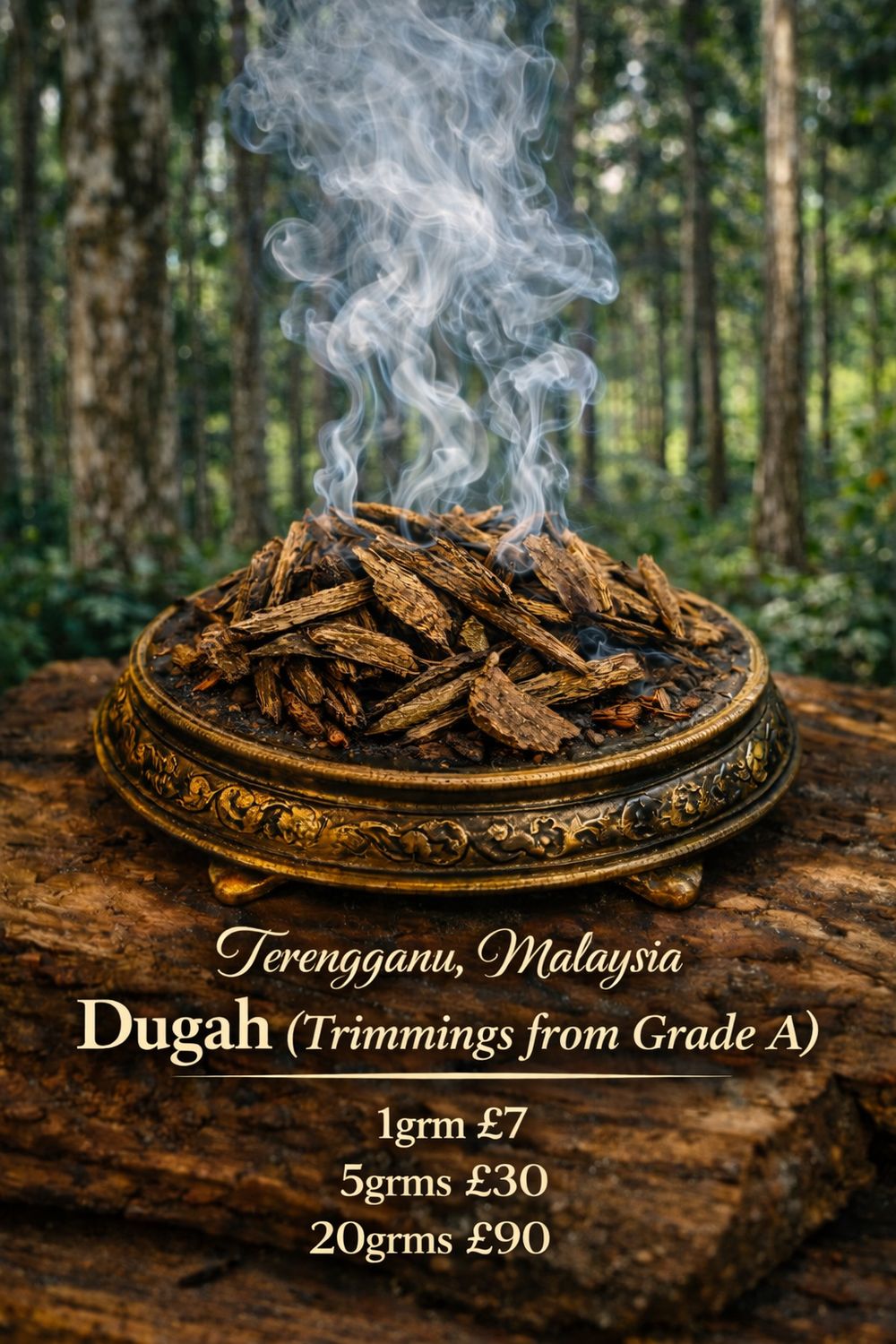 Terengganu, Malaysia Dugah (Trimmings from Grade A) Terengganu, Malaysia Dugah (Trimmings from Grade A)