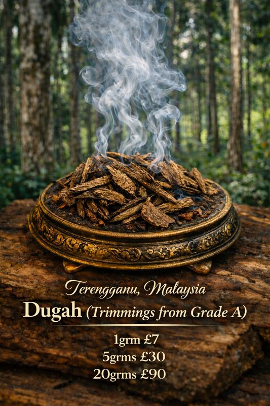 Terengganu, Malaysia Dugah (Trimmings from Grade A)