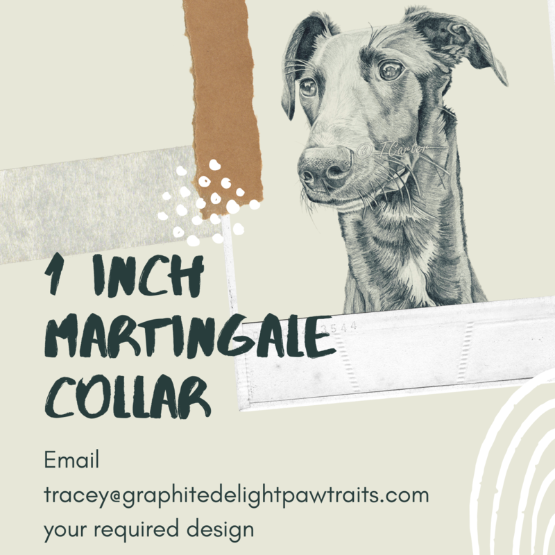 1 Inch Martingale Collar