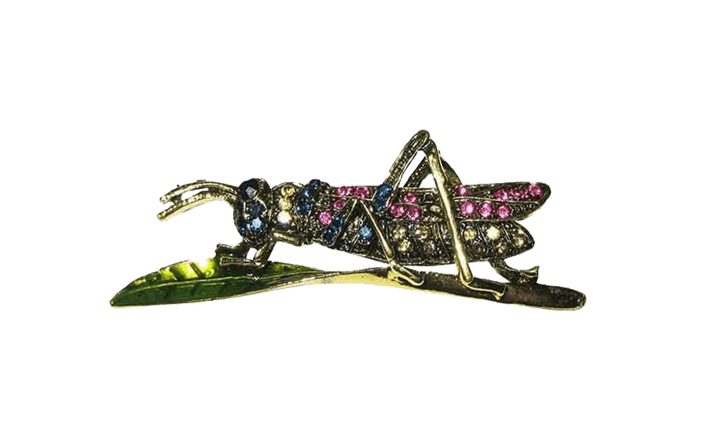 Broche para ropa originales en forma de saltamontes - Rubén Troya