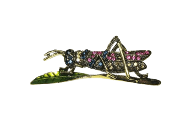 Broche para ropa originales en forma de saltamontes - Rubén Troya