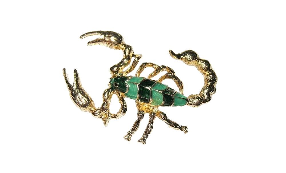 Broche para ropa en forma de escorpión - Rubén Troya