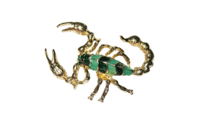 Broche para ropa en forma de escorpión - Rubén Troya