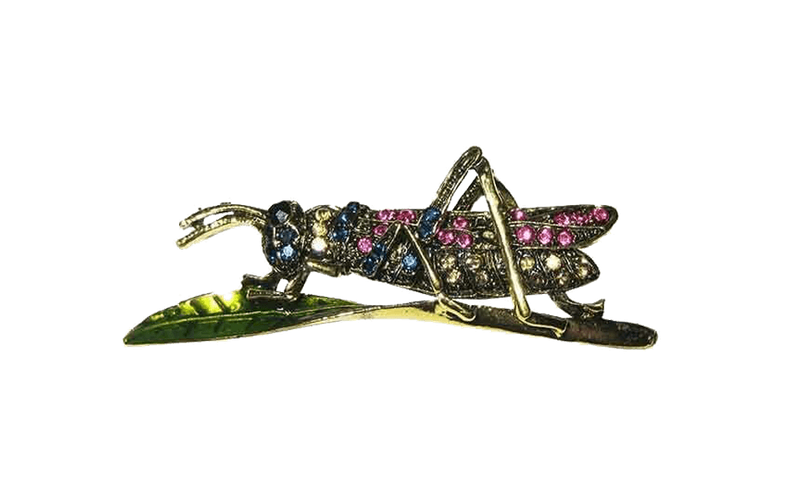 Broche para ropa originales en forma de saltamontes - Rubén Troya