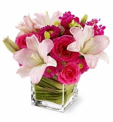 Posh Petals Posh Petals