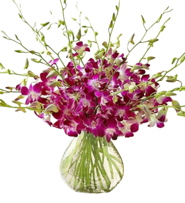 dendrobium orchids vase
