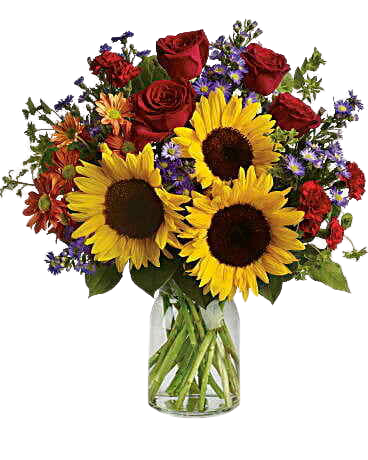 Sunflower Surprise Sunflower Surprise