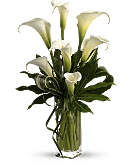grand calla lilies
