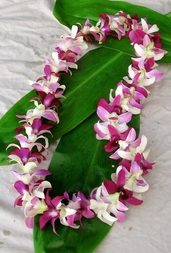 Lei Fresh Hawaiian Orchid Lei Fresh Hawaiian Orchid