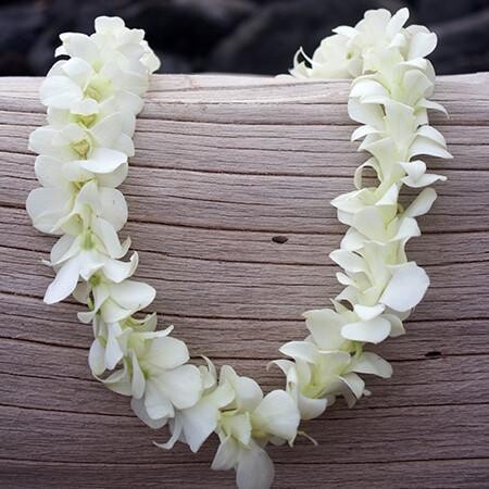 Lei White Hawaiian Orchid Lei White Hawaiian Orchid