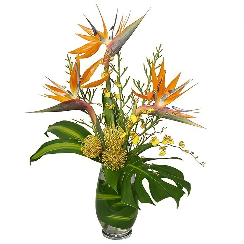 tropical flowers and plants