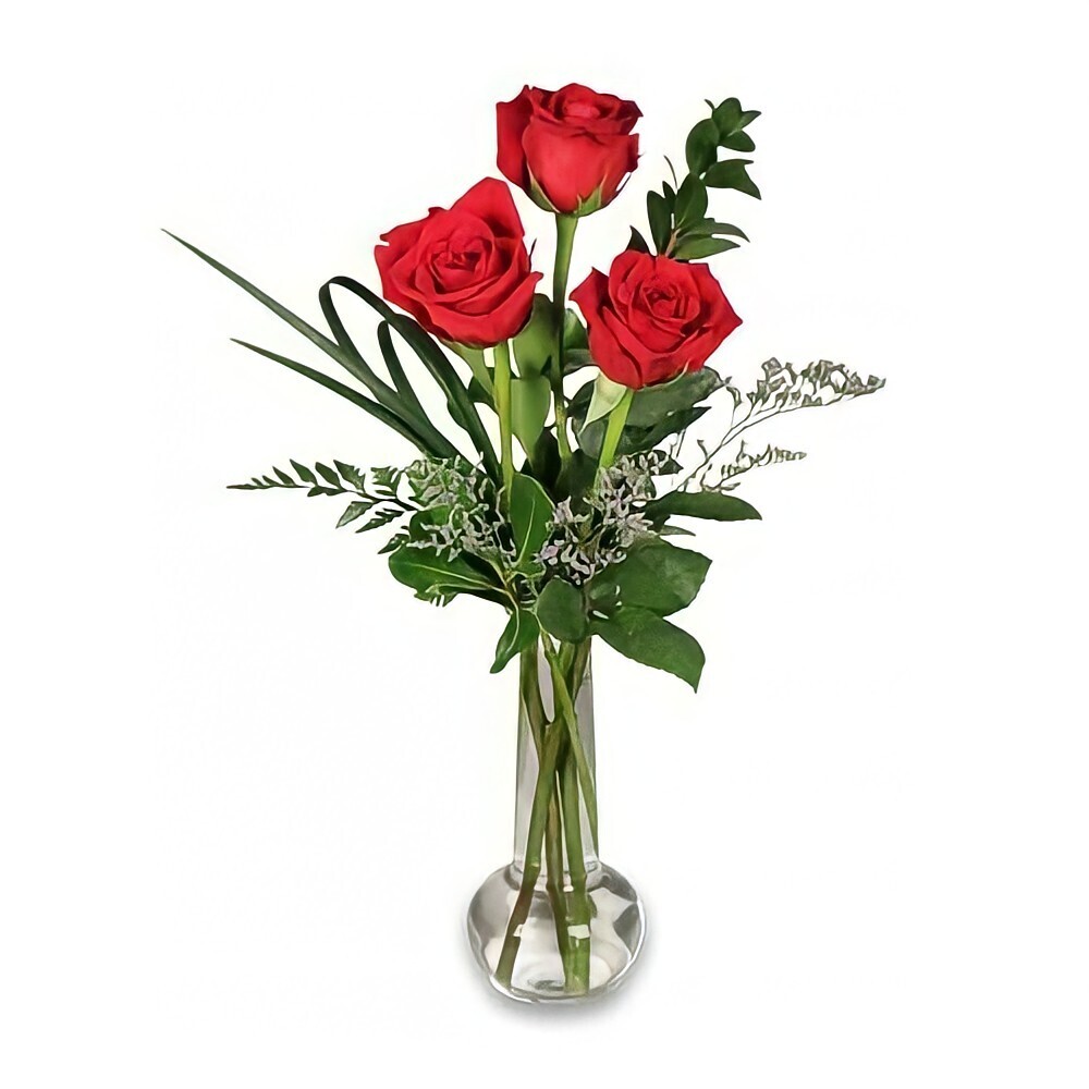 Red Rose Bud