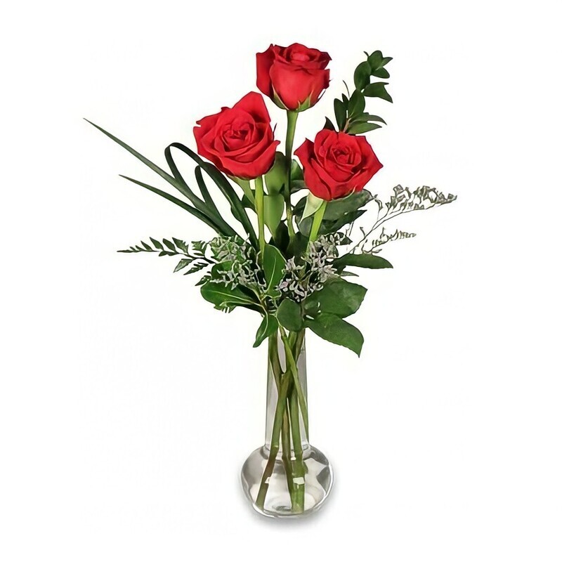 Red Rose Bud