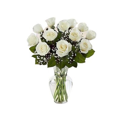 pure white roses