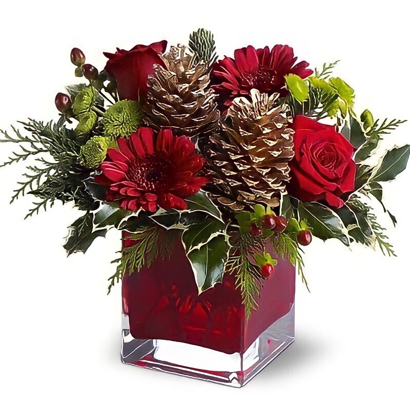 Christmas Flowers