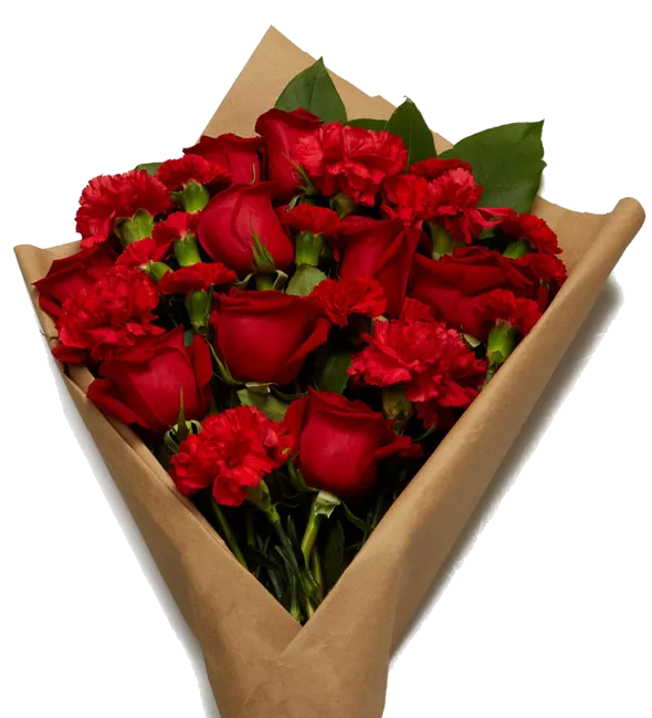 dozen red roses wrap