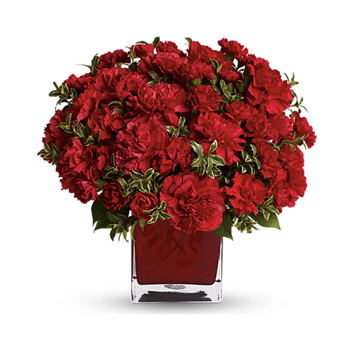 Carnations