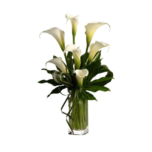 calla lilies