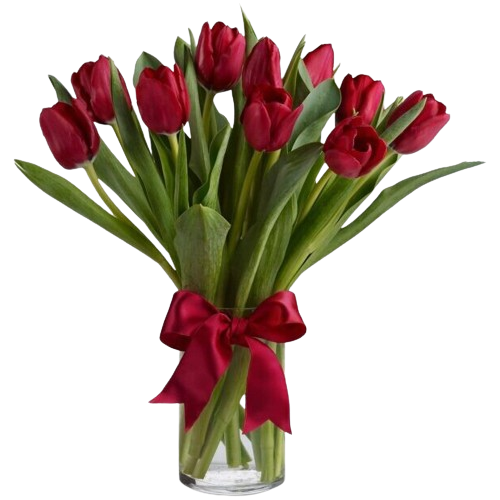 red tulips