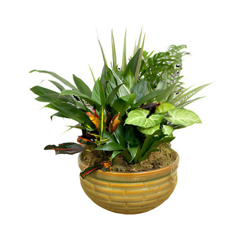 Fort Worth Florist