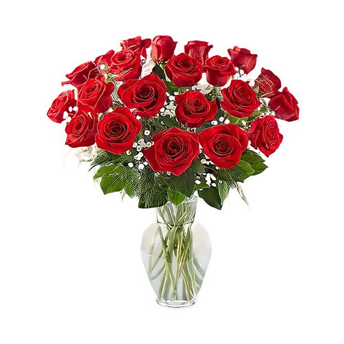 24 Red Roses