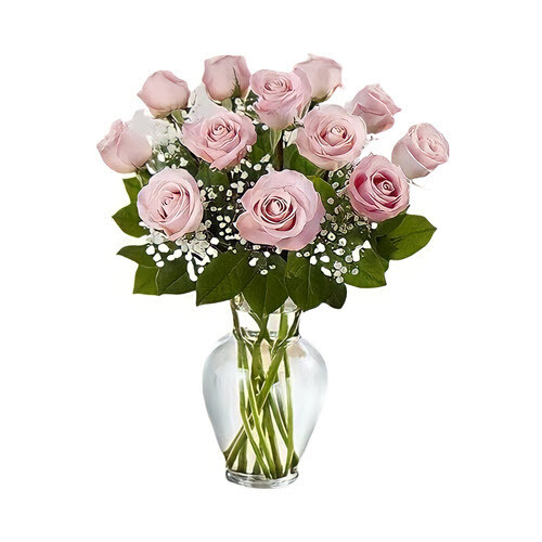 12 Pink Roses