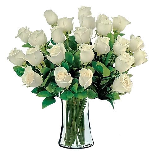 24 White Roses