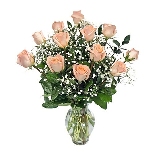 Peach Roses