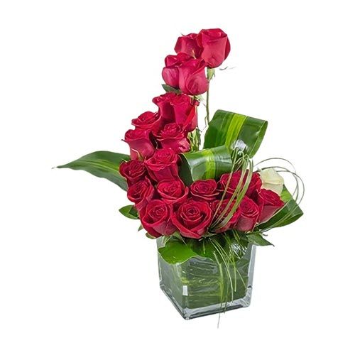 18 red roses
